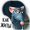 Аватар для Дмитрий(мск)